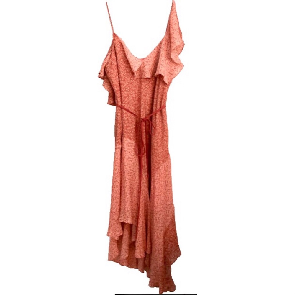 NWT [Joie] Dress WITH belt - Picture 3 of 6